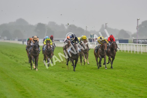 140723-Race 5-Monte Linas-8274 - Race 5 4.25pm Coopers Marquees Handicap