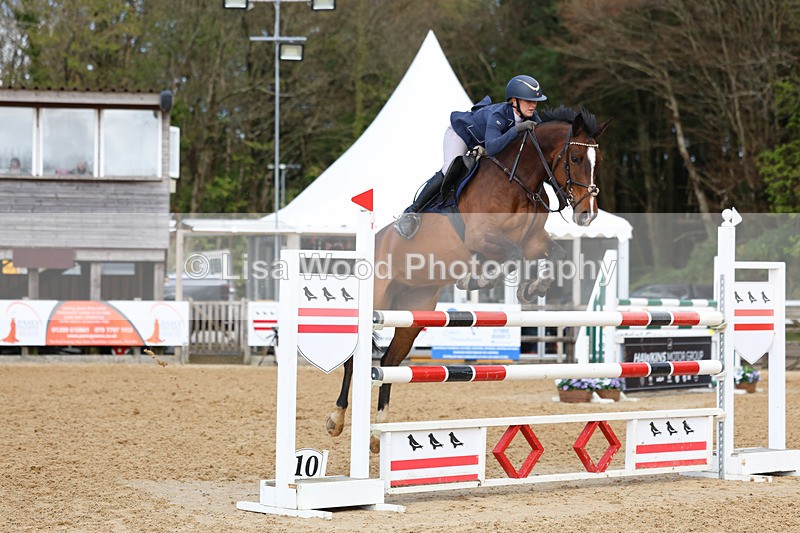 3E7A2147 - Class 8: Senior Foxhunter/1.20 open