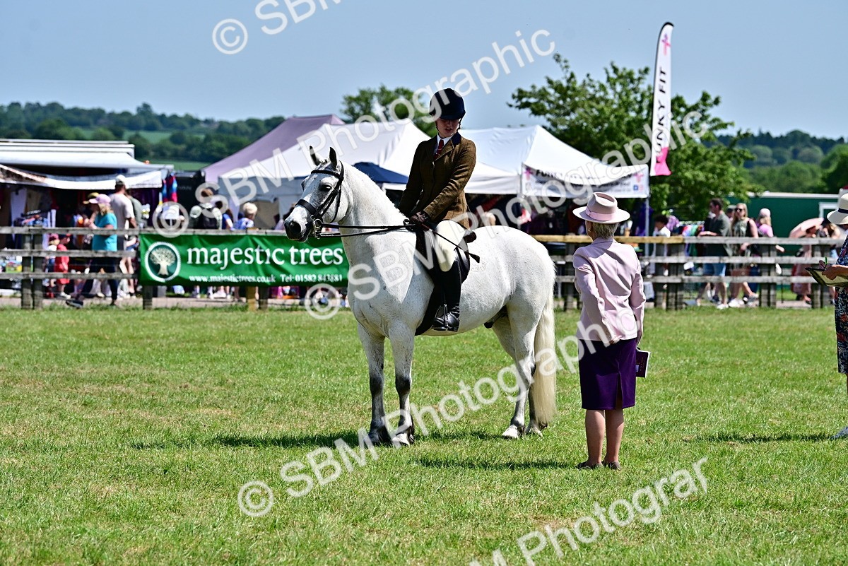 SBM_15379 - Class 95-97 - BSPS LHS Performance Ponies