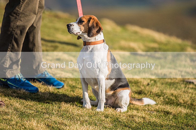 Sale Fell-569 - Sale Fell Race Saturday 25th November 2023