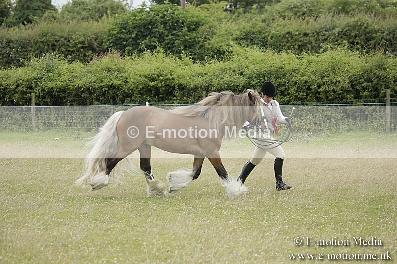 B230619-0839 - Bourne Valley Riding Club Summer Show 23/06/19