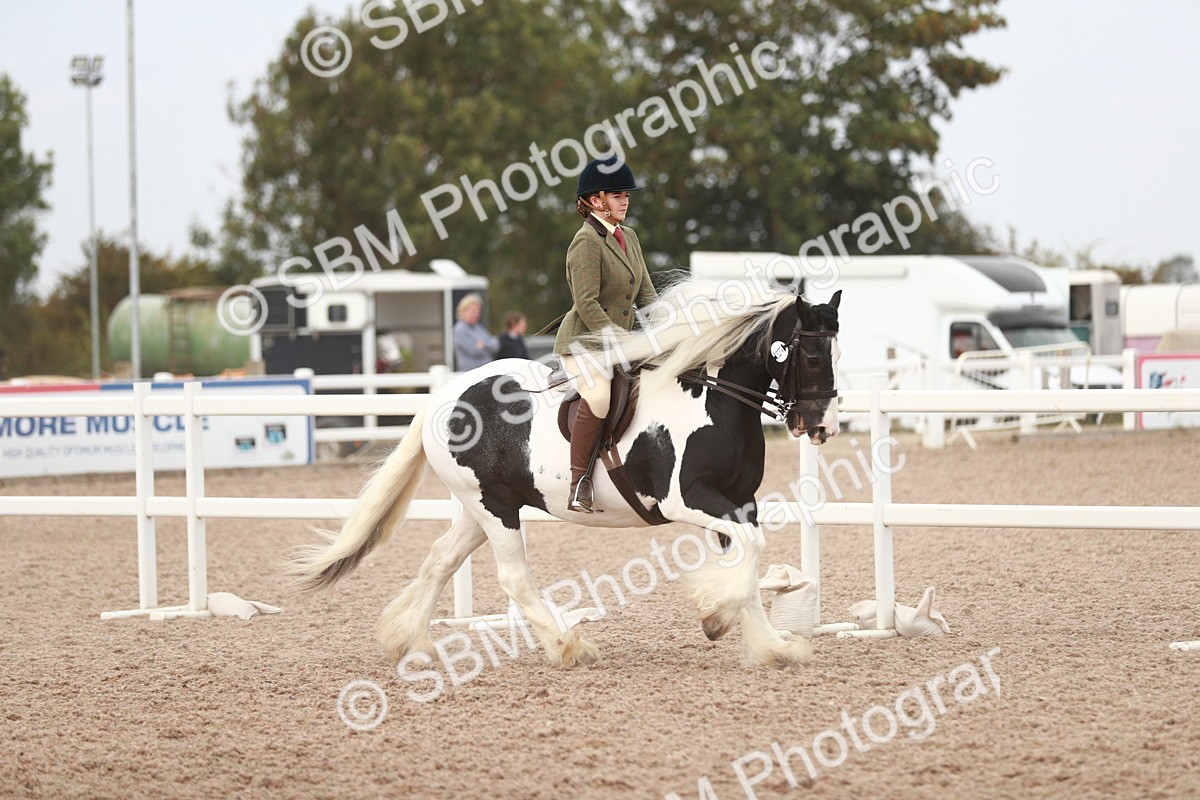 SBM_16672 - Class 214 Ridden Cob