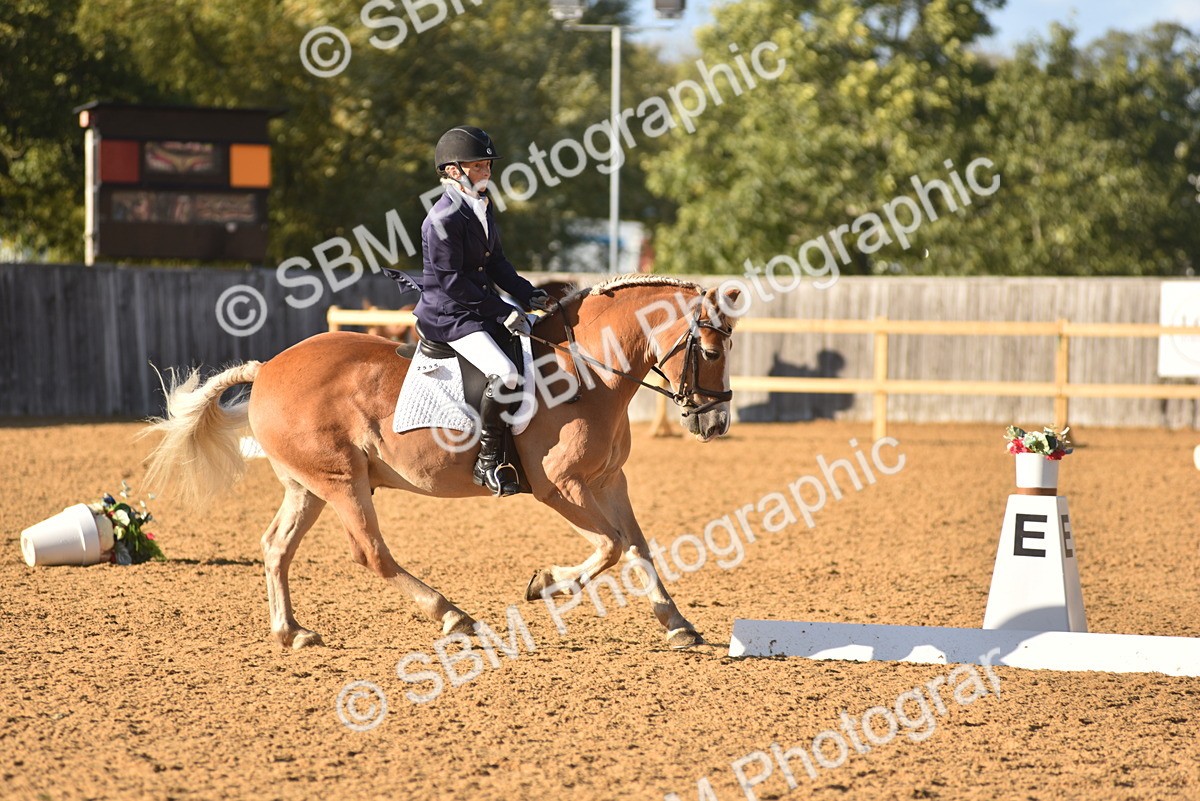 SBM_11413 - D28 - Elementary