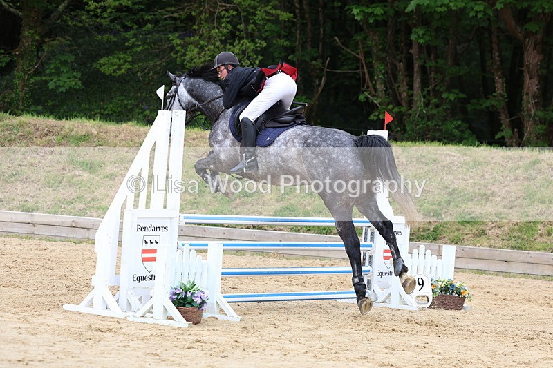 3E7A6215 - Class 4: Senior British Novice/90cm open