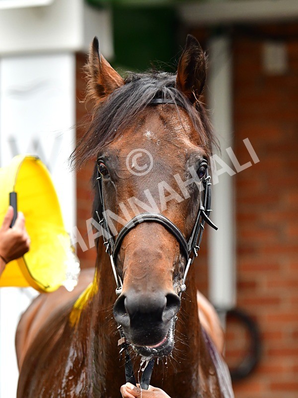 170625-Race 5-Blue RC-4068 - Race 5