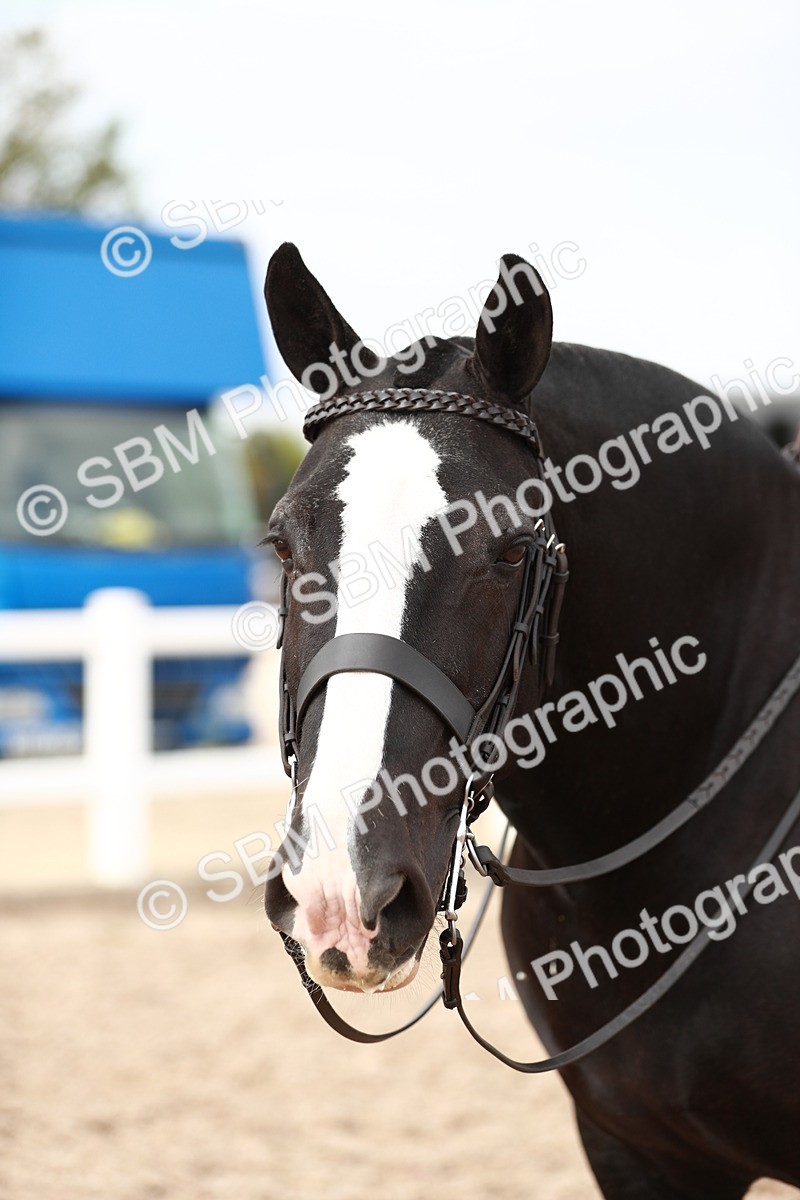 SBM_16737 - Class 214 Ridden Cob
