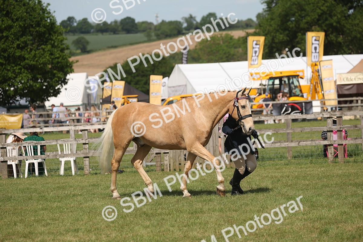 SBM_09238