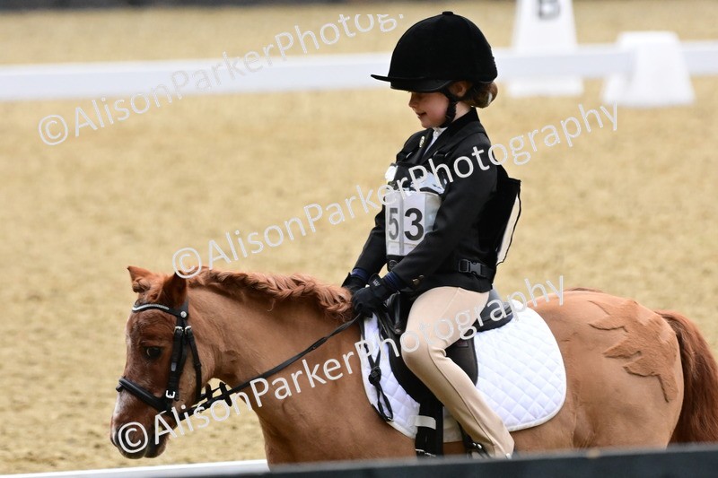 20260125-0547 - Class 9b - Walk Trot Unassisted