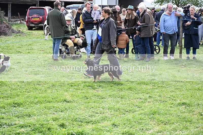 WJ6_8284 - Class 4 Prettiest Bitch