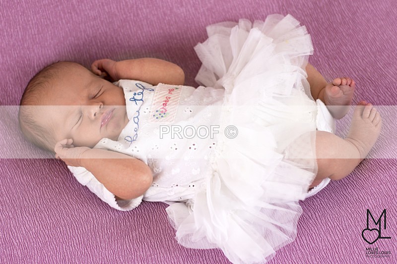 Estella Photoshoot 25th August 2016 Millie Loves Louis Photography  3 - Newborn Photoshoots