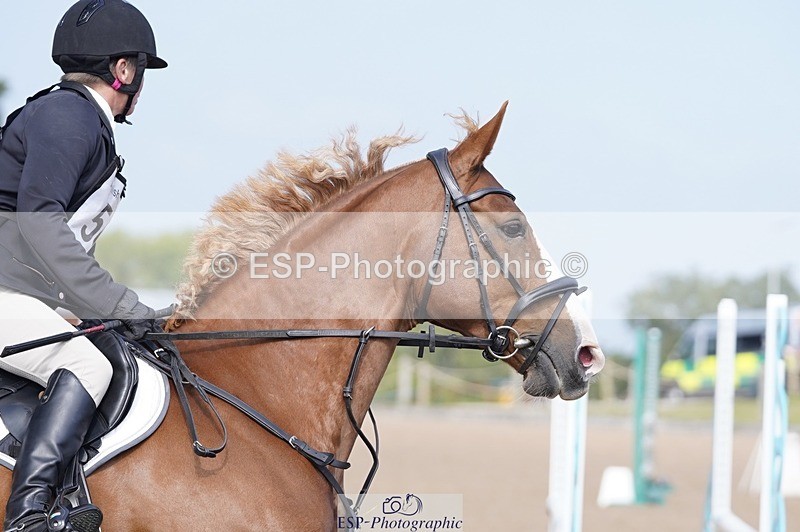 240831A-104936-00384 - 056-Lindsey.Pendleton-PEPITO.STAR.S