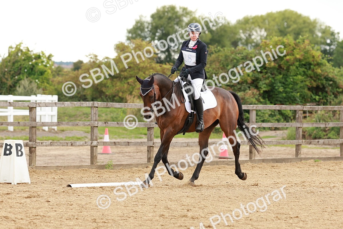 SBM_002780 - Novice 2