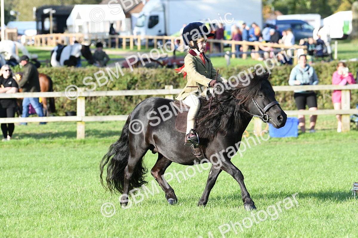 SBM_54060 - S23 - 1st Ridden Mountain & Moorland Pony