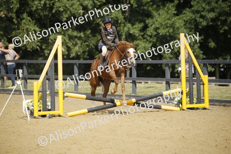 20250622-3655 - 50cm