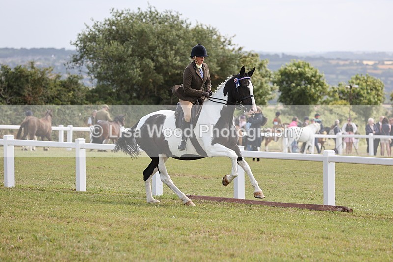 JPP_1405 - Class 17: Cornish Combination Open