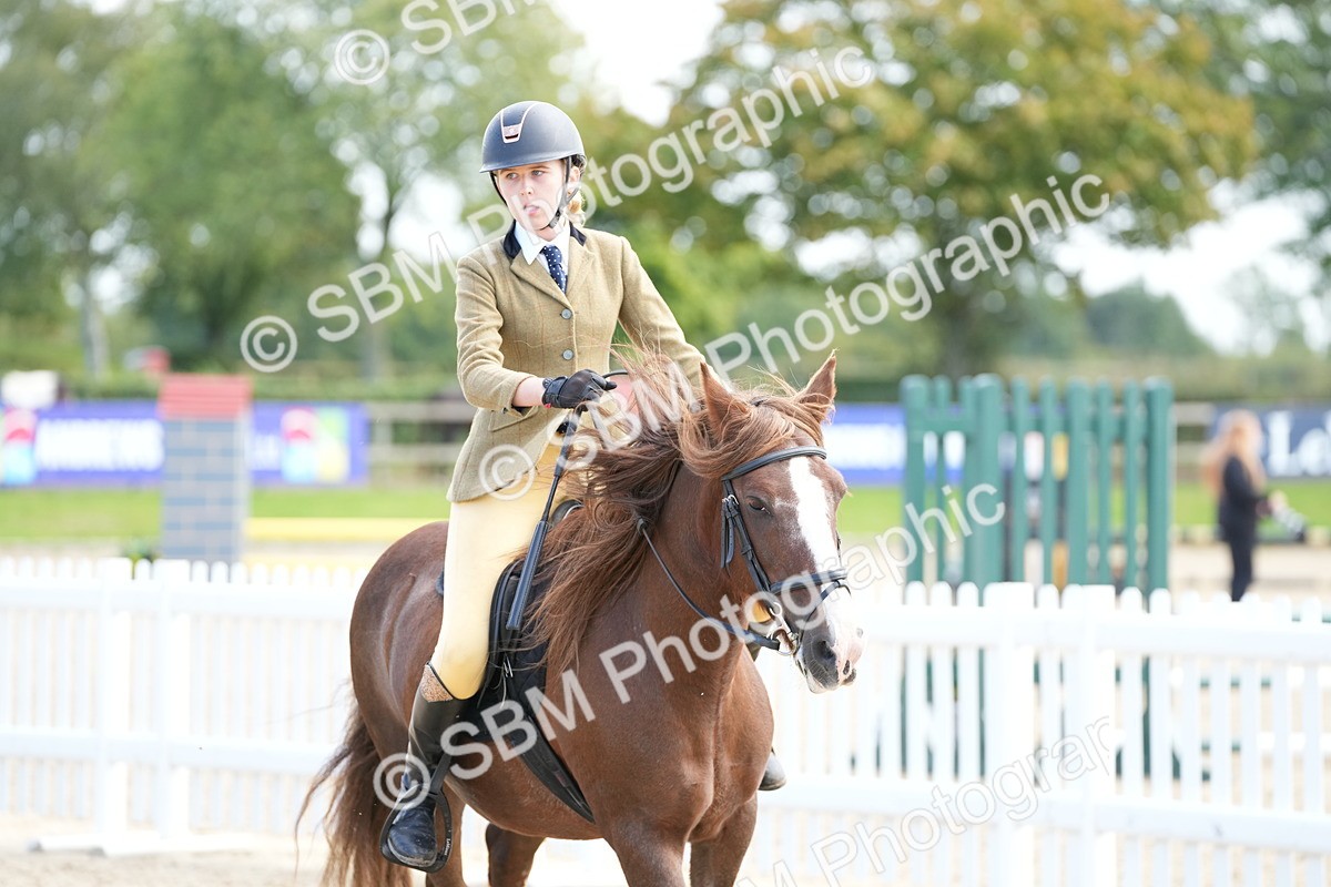 SBM_21311 - J49 - Open 50cm