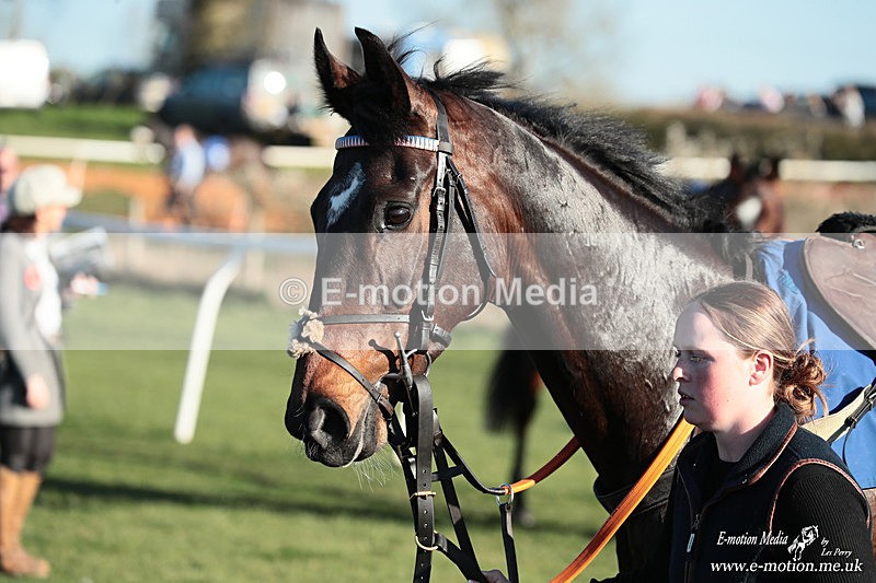 PtP 210326 1159 - VWH Cirencester Races 21/03/26