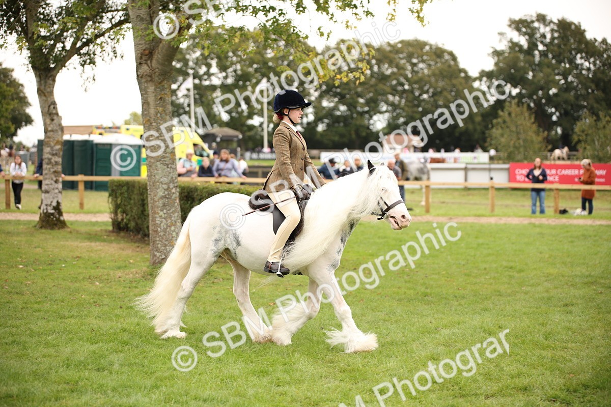 SBM_73484 - S68 - Traditional Cob Ridden