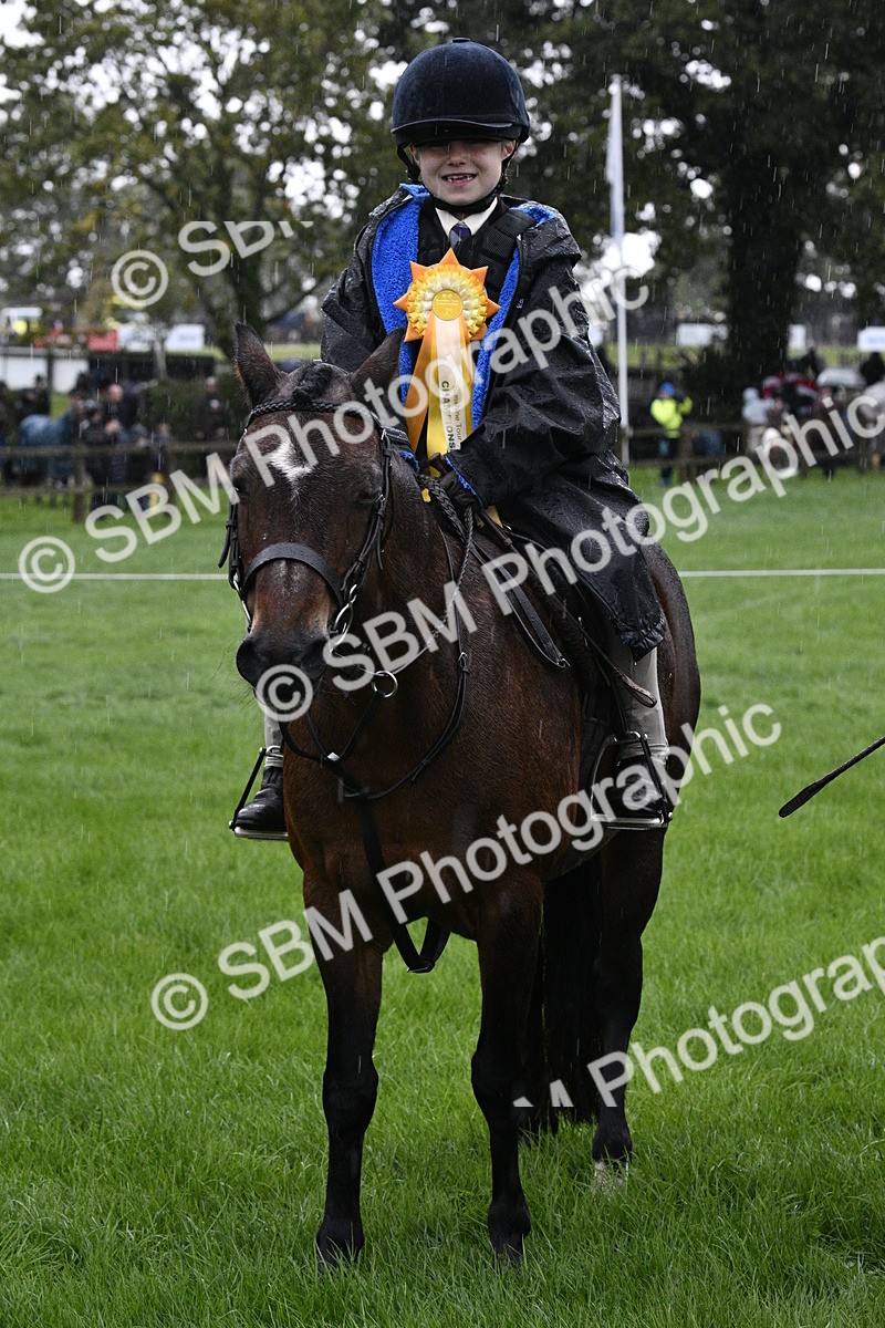 SBM_35580 - S30 - Nursery Stakes Working Hunter Pony