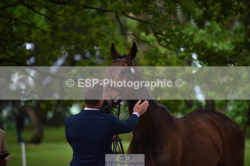 240522-165838-01296 - 272-PRIORSPARK_ROYAL_RIFF-RAFF-Jesse_Campbell