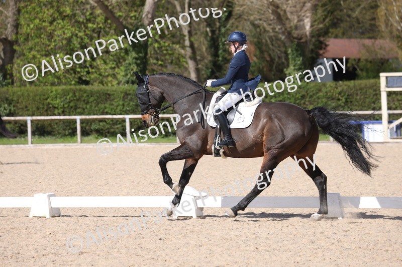 20260405-0662 - Class 7 - Medium 5