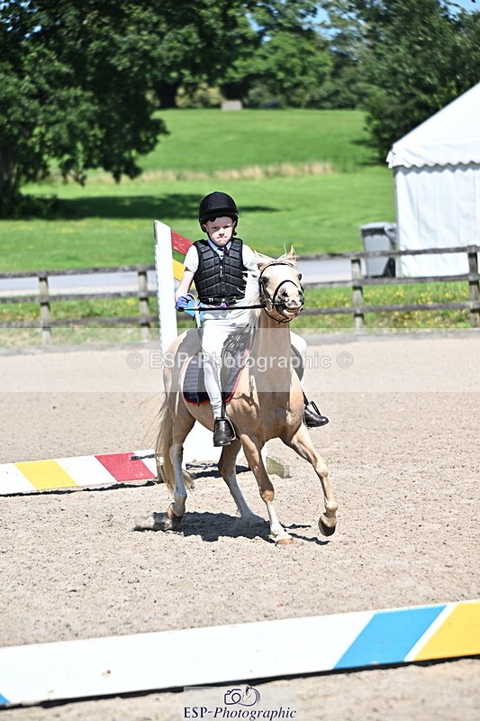240729B-114229-02498 - Showjumping Competition