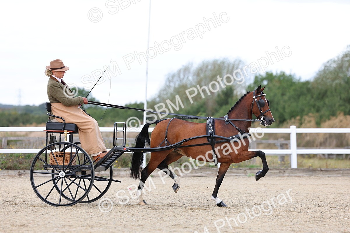 SBM_000269 - Class 2 - Exercise Vehicle 13.2hh & Under