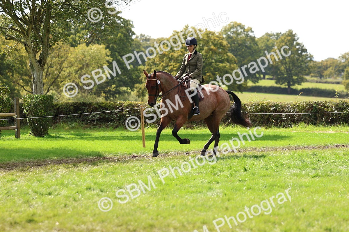 SBM_45253 - S27 - Young Veteran Ridden