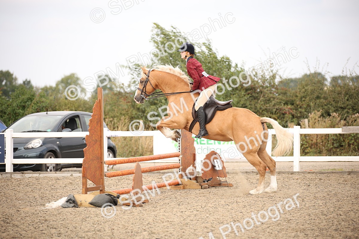 SBM_16197 - Class 409a - Working Veteran 80cm (15-19)