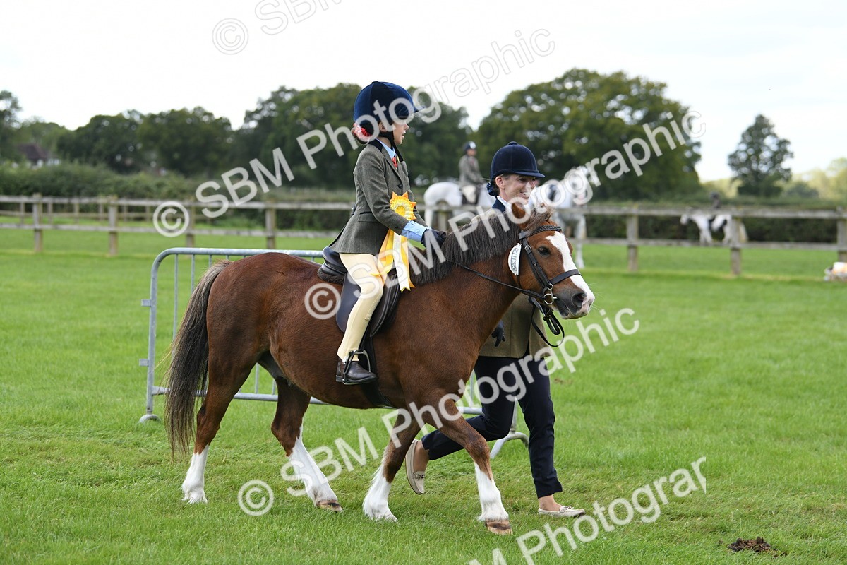 SBM_42713 - S20 - Lead Rein Mountain & Moorland Pony