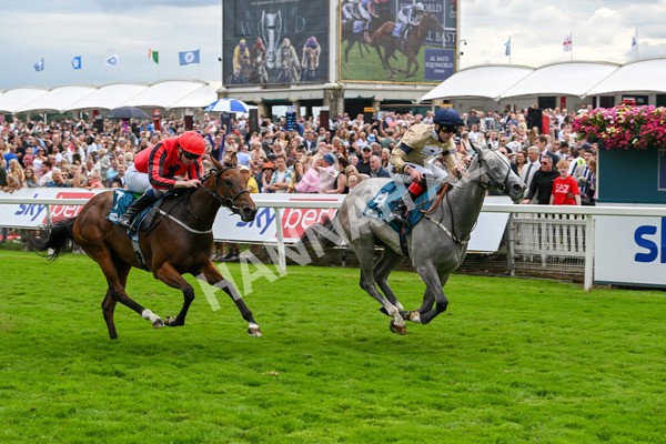 270724-Race 4-Greydreambeliever-7264 - Race 4 4.00pm Sky Bet Club EBF Fillies' Novice Stakes