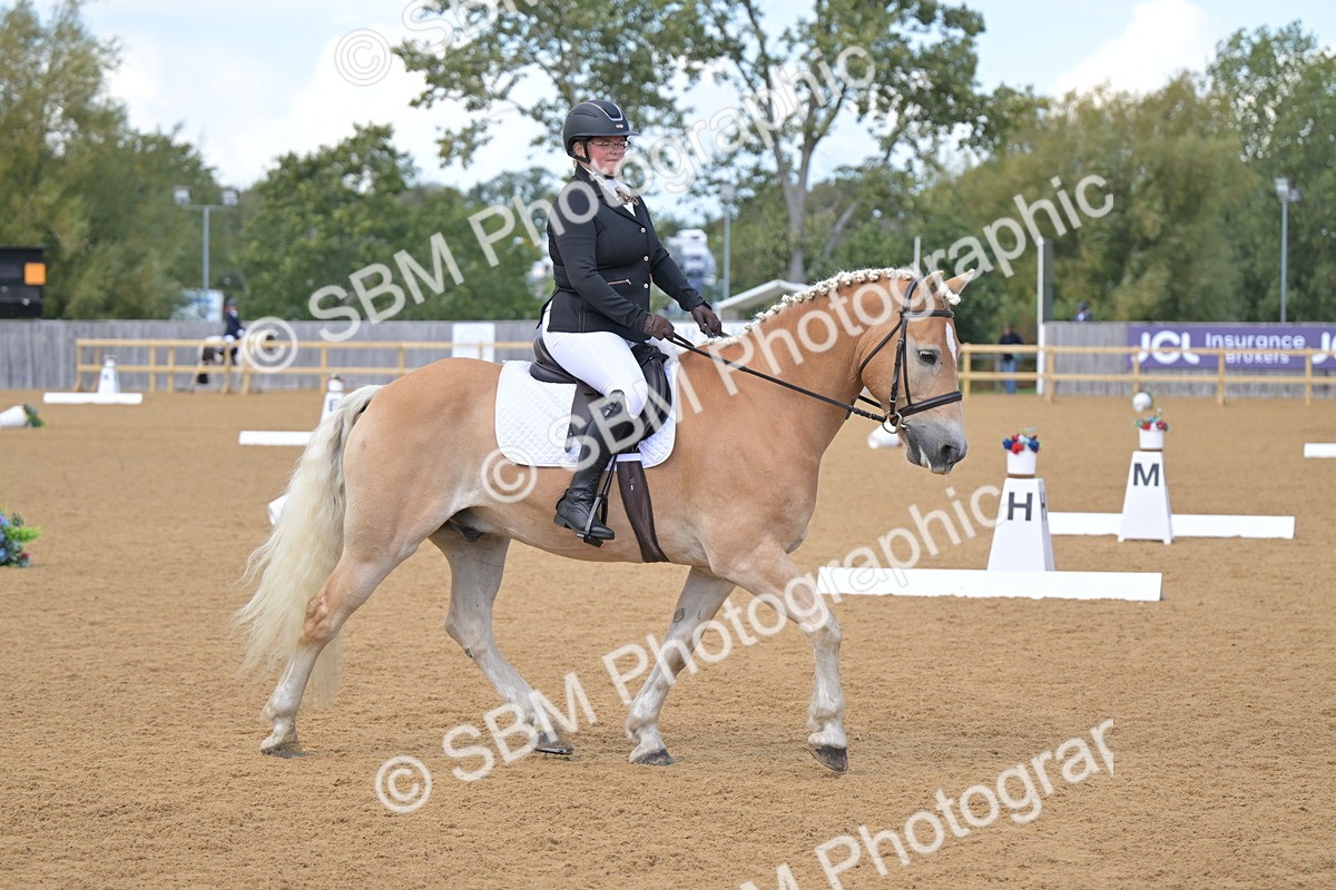 SBM_11134 - D3 - Small Tour Championship Intro 3
