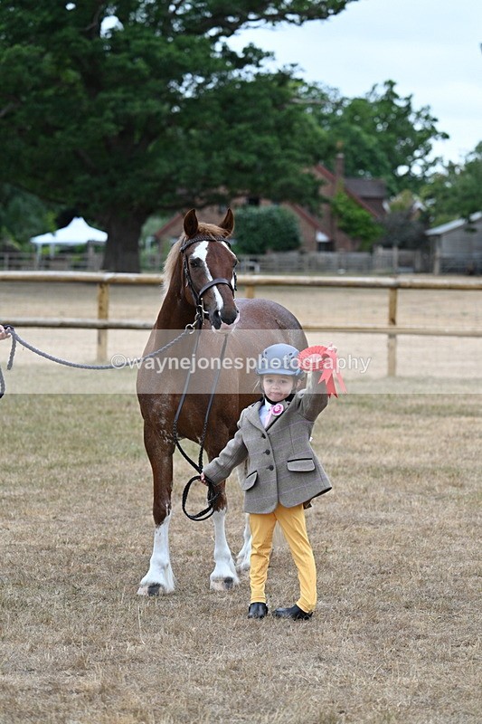 WJ7_8575 - Class 4 Prettiest Mare up to 14.2hh