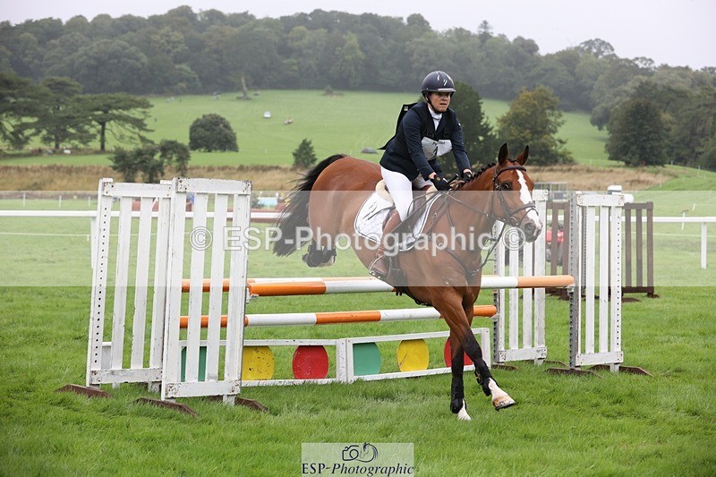 230805-100217-00009 - SJ 10 to 11