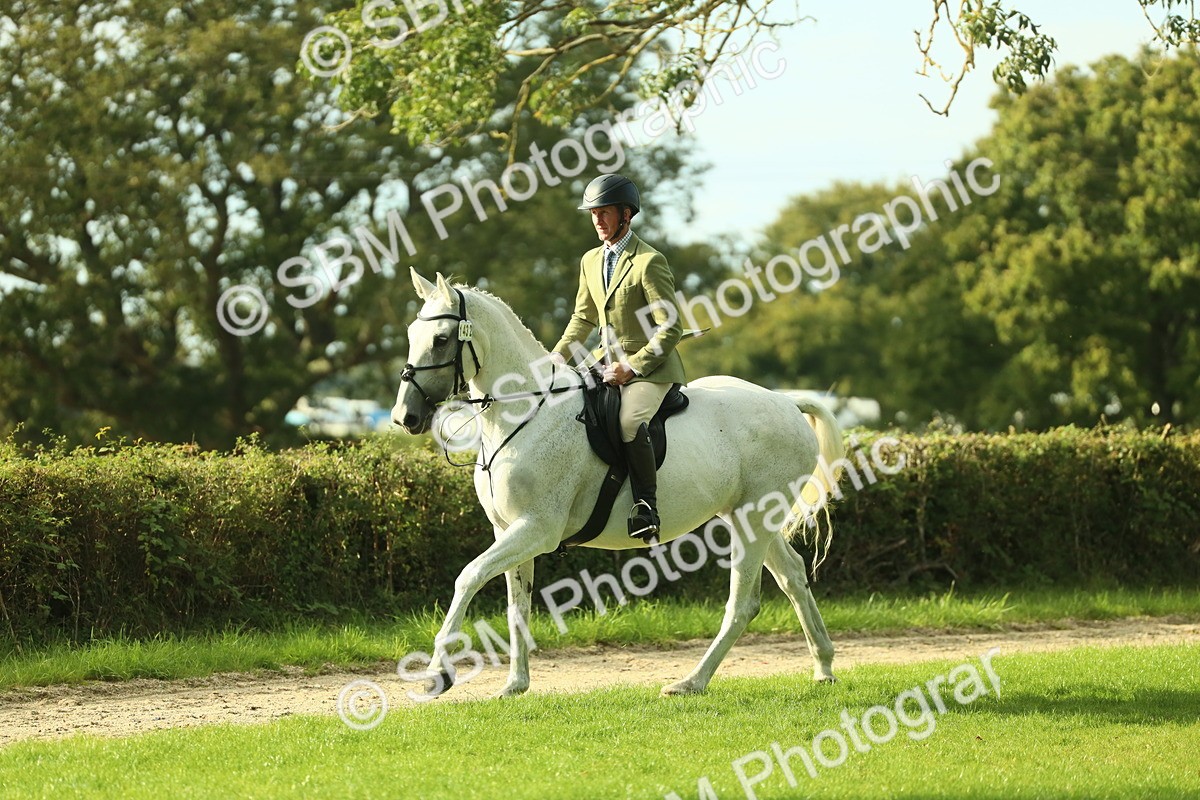SBM_52138 - S33 - Working Hunter & Working Show Horse