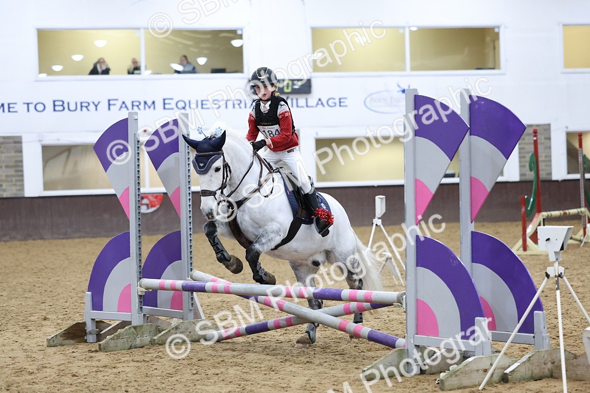 SBM_001190 - Class 3 - Christmas Tree Stakes - 60cm