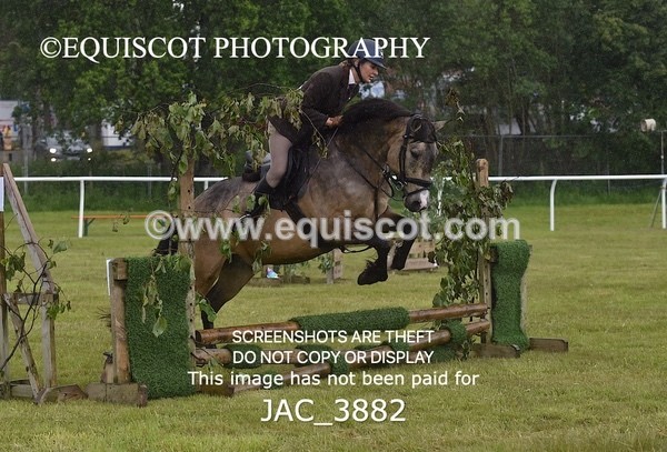 JAC_3882 - 55cm WORKING HUNTER