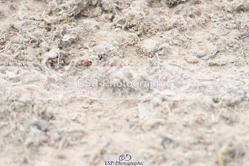 250807-141631-01601 - 1m plus Round 2