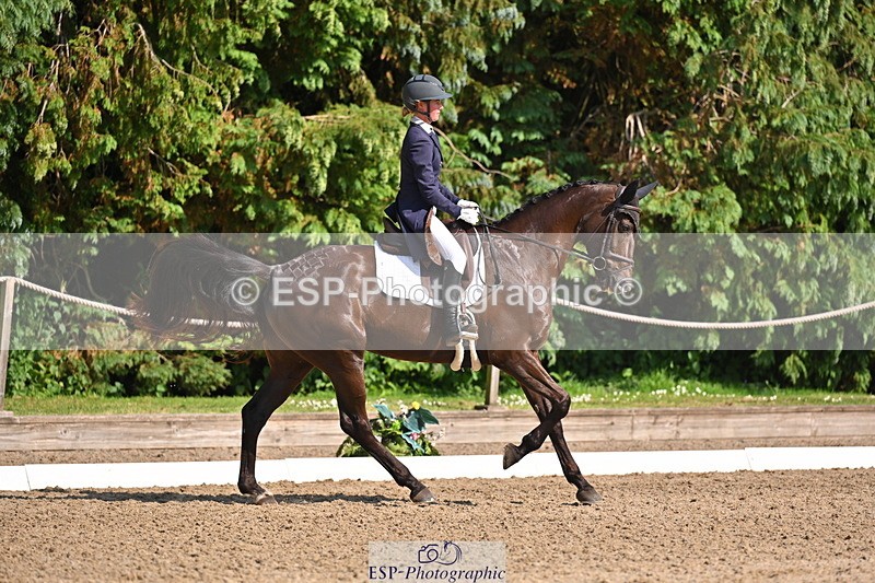 250523A-163957-08123 - B-379-Kelli.Frewin-HIDDEN.GOLD