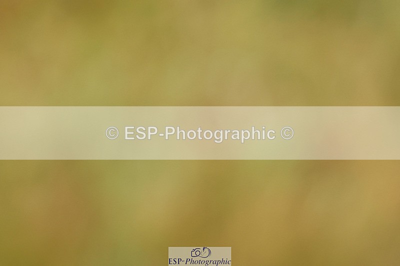 240824X-085625-21905 - D70 Section C and D 8.30 to 9.30