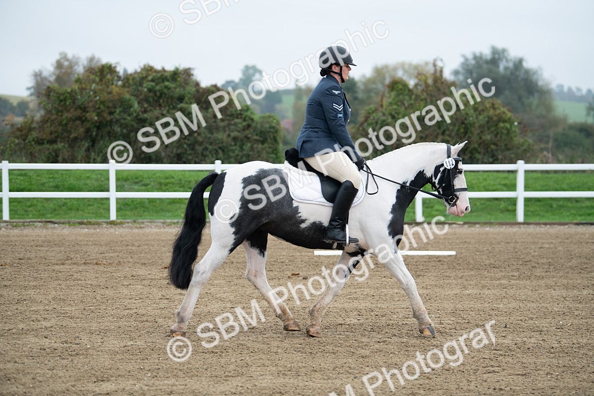 SBM_003480 - Introductory Test 3