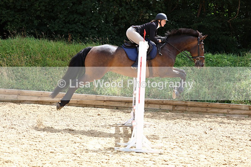 3E7A0212 - Class 9: Senior British Novice/90cm open