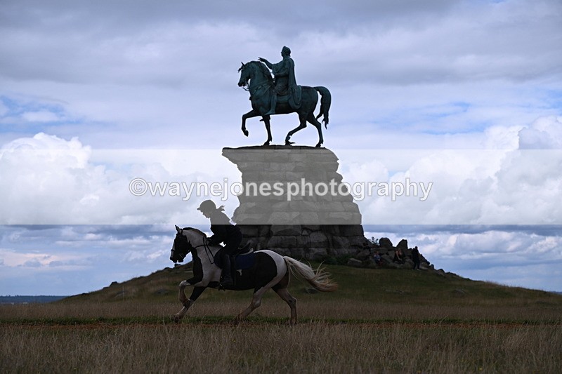 DSC_9539 - Time at Statue 15:11 to 15:58