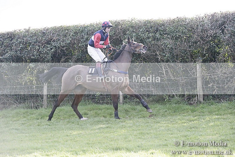 PtP 040218 448 - Point-to-Point Milborne St Andrew 04/02/18