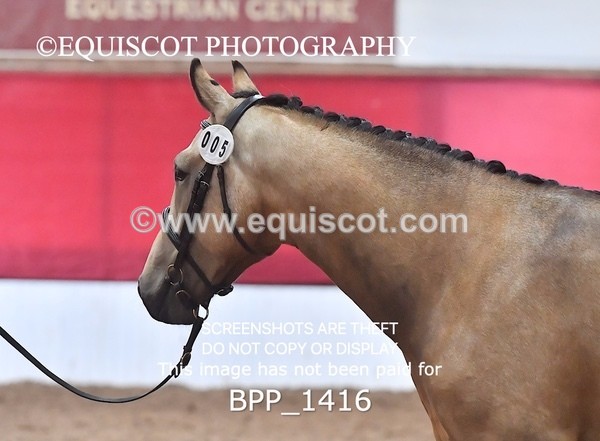 BPP_1416 - MORNING 9AM - 12PM