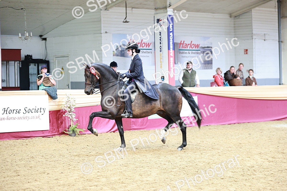 SBM_03715 - Class 6A Area Ridden Pre-Vet