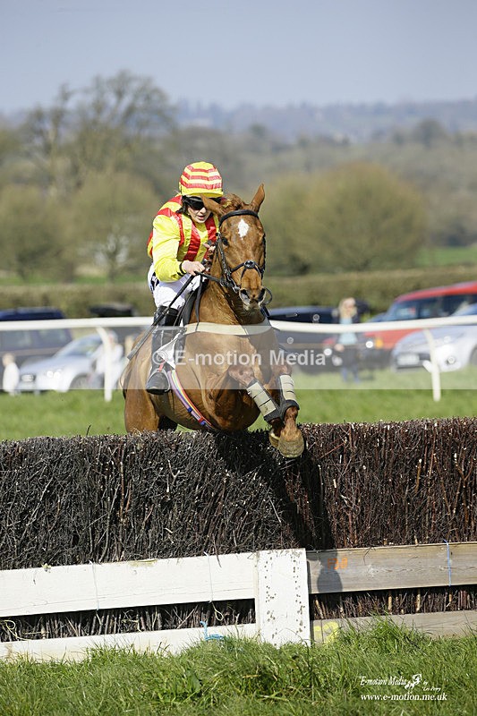 PtP 200322 244 - Mendip Farmers Point-to-Point 20/03/22