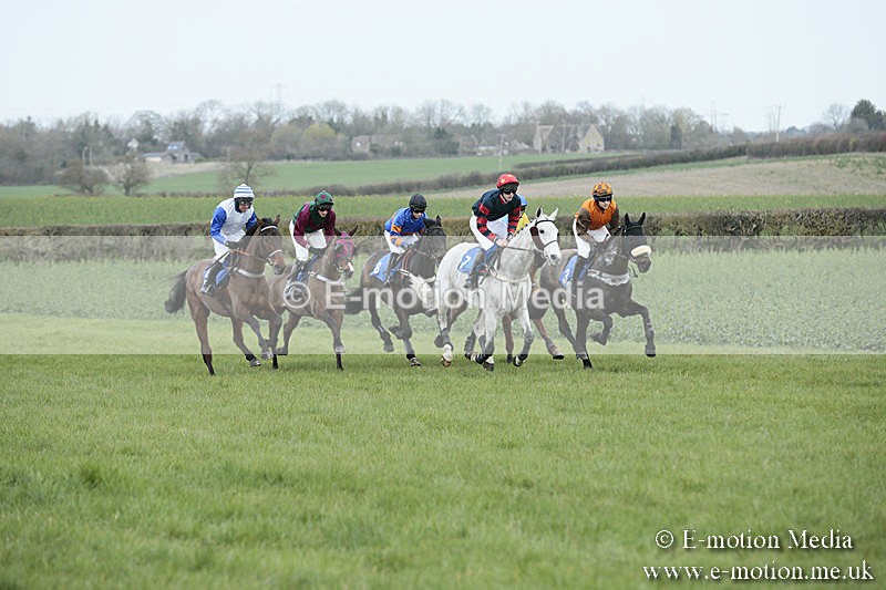 PtP 230319 74 - VWH Hunt Siddington Point-to-Point Racing 23/03/19