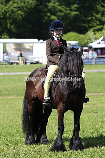 IMG_4422 - Working Hunter