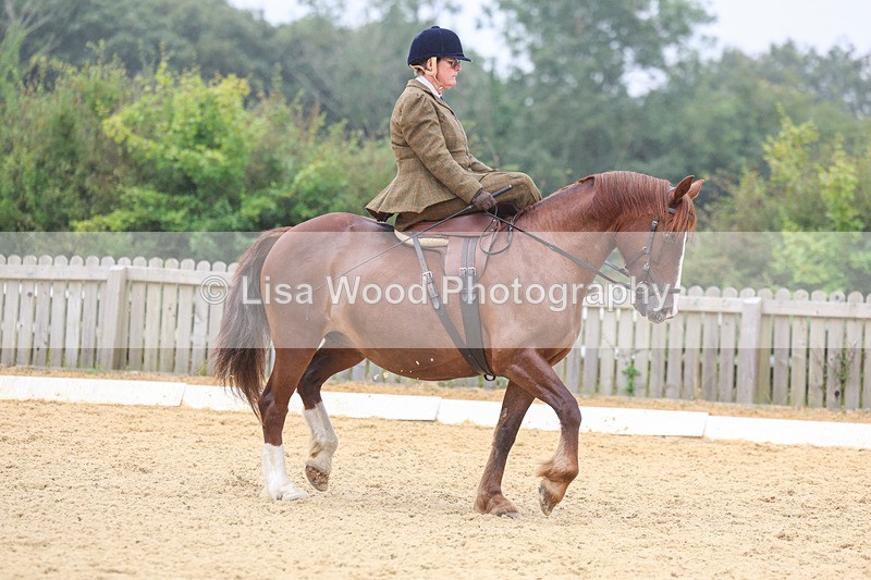 3E7A5480 - Class 2: Intro 4 2024 section B